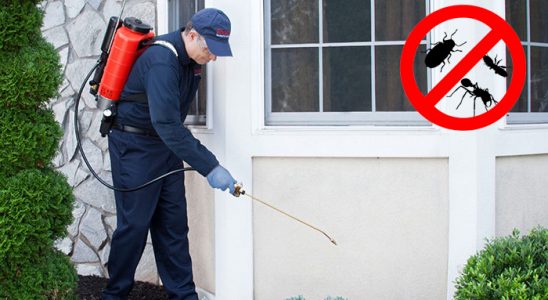 Yalova Bit İlaçlama böcek ilaçlama ve haşere kontrolü — ilaclama-tr.com